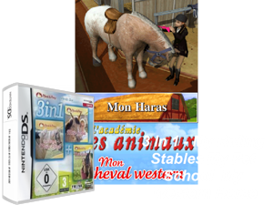 3 in 1 - My Riding Stables - Life with Horses + My Pet Hotel 2 & + My Pet School (Europe) (Fr,De,It) Cover